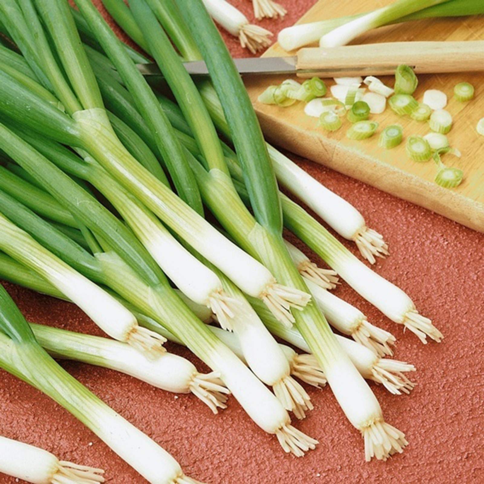 VibeX Green Chinese Onion Seeds-500 Seeds (B0B9Y3PDDW) Amazon Price History, Amazon Price Tracker