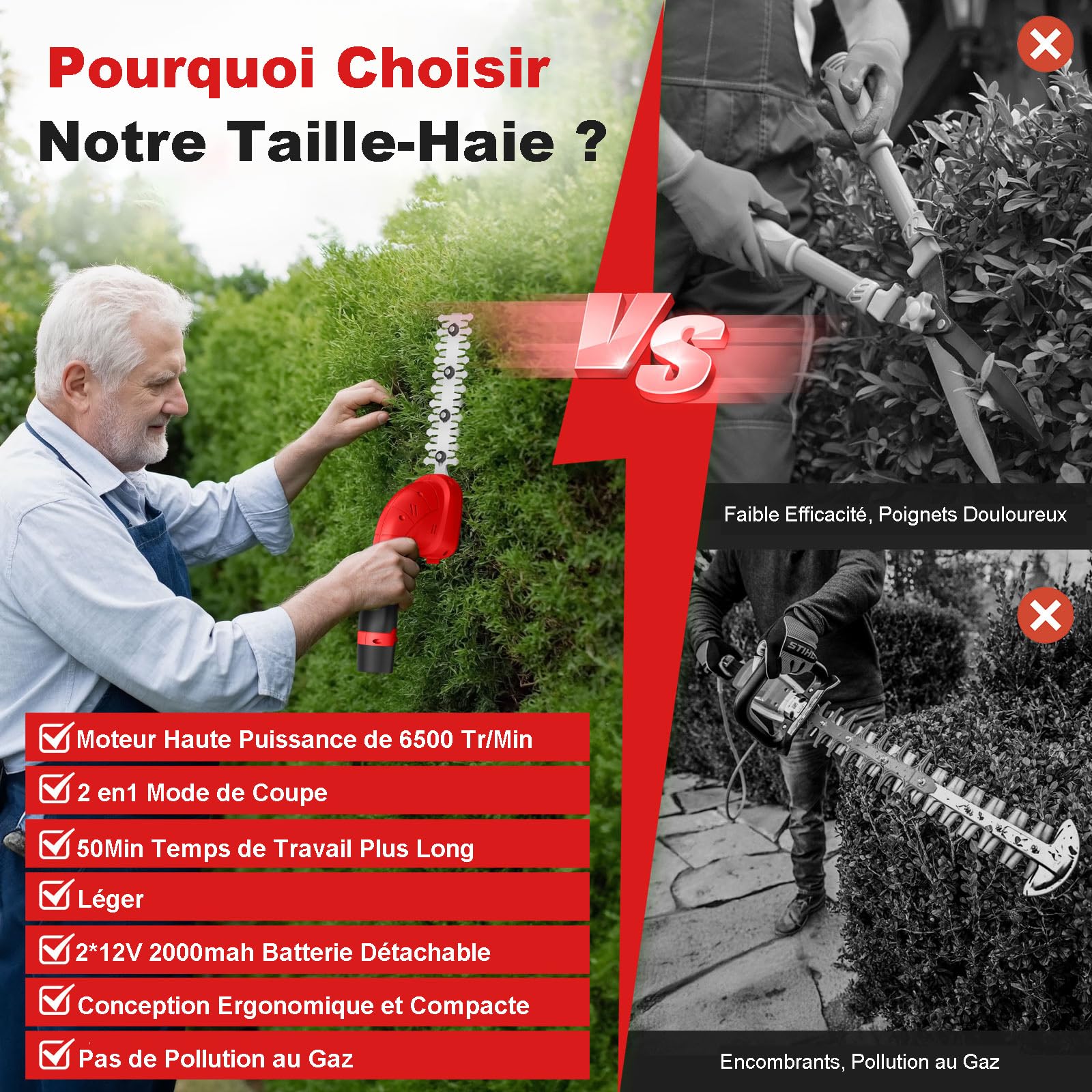 2 en 1 Taille-haie Electrique à Batterie12V Cisaille de Jardin sans Fil 6500tr/MIN Cisaille Sculpte-Haies Cisaille à Gazon Longeur de Lames 20cm/12cm pour Couper Herbes Arbustes