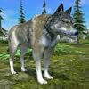 The Wolf Simulator Game 2025