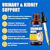 Gotas de Suplemento de Extracto de Arándano para Perros y Gatos, 120ml | Suplemento para mascotas con vitamina C, apoya la función de vejiga y riñones, alivio de infecciones urinarias en perros y gatos, ayuda a disolver cálculos urinarios 5