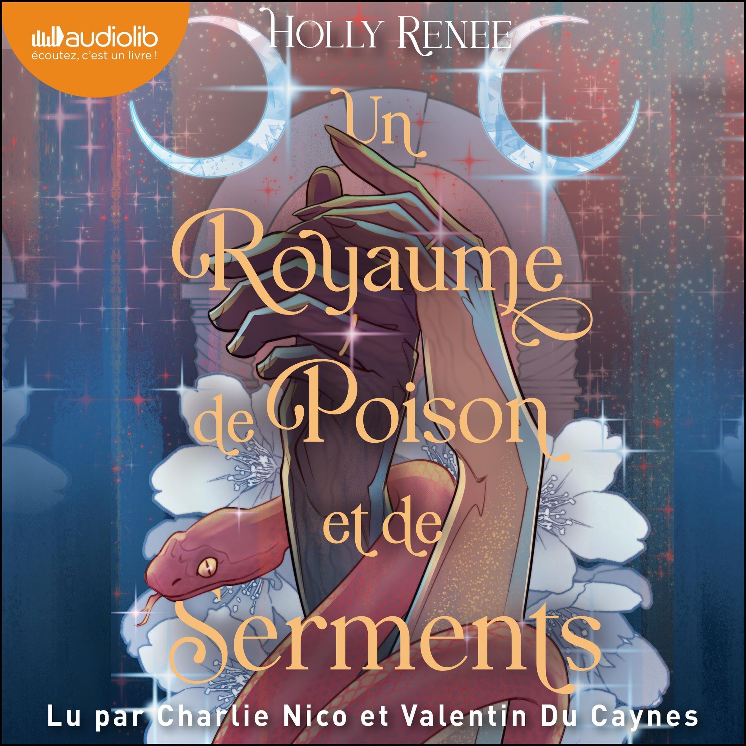 Cover art for Un royaume de poison et de serments