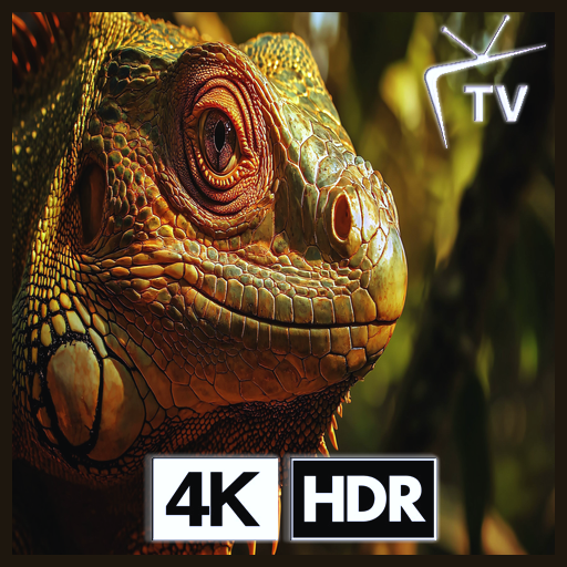 Iguana Verde - Descanso en los Árboles de la Jungla para una