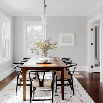 EVOLVE All Purpose Whites Paint & Primer, Flat (Cool White), 5 Gallon Interior Latex, Excellent Touch-Up, High Hiding, Durable Paint for Walls & Ceilings