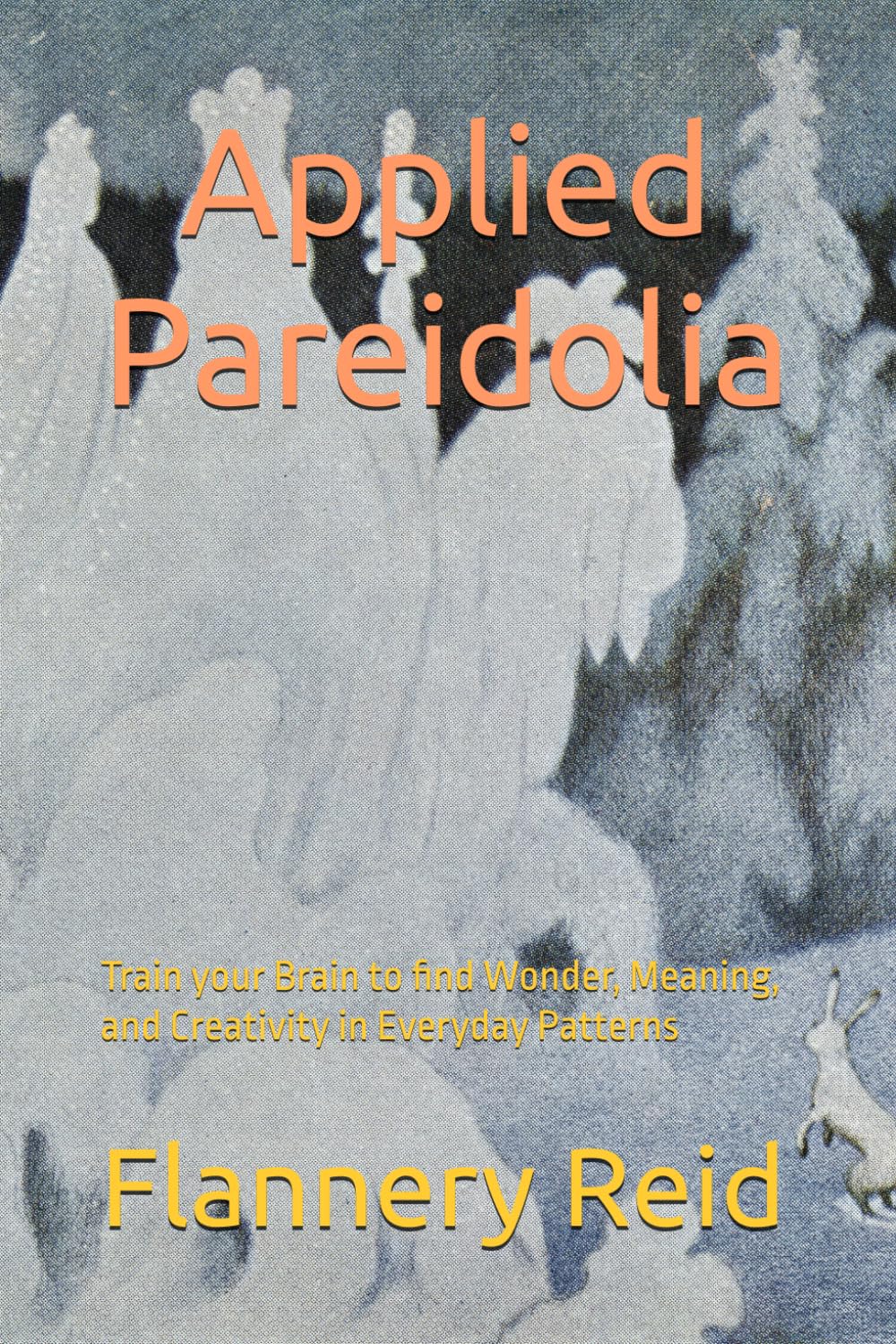 Applied Pareidolia: Train your Brain to find Wonder, Meaning, and Creativity in Everyday Patterns