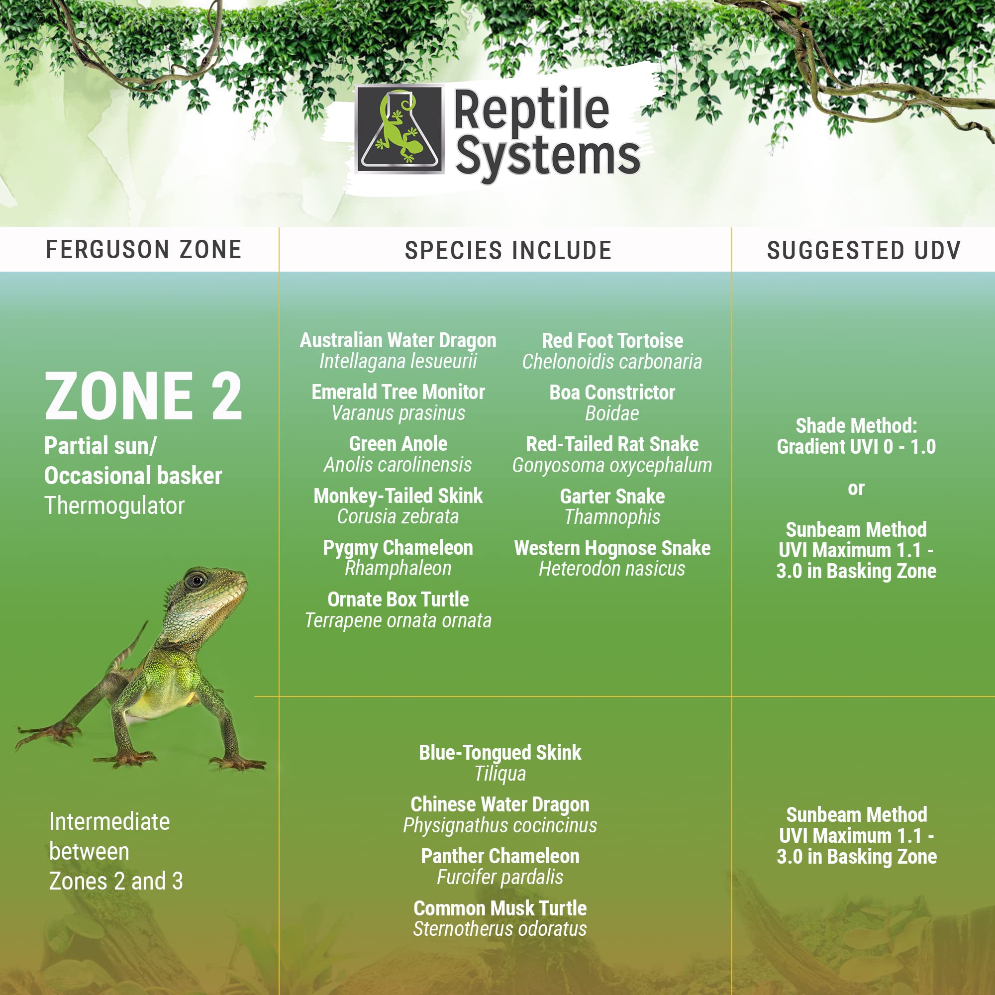Reptile Systems Eco T5 Unit Zone 2 Reptile Lighting Kit – 24in-24w - Slimline Fixture with HOT5 Lamp, Reflector & Flicker-Free Ballast – Ideal for Terrariums, Chameleons & Geckos - image 4