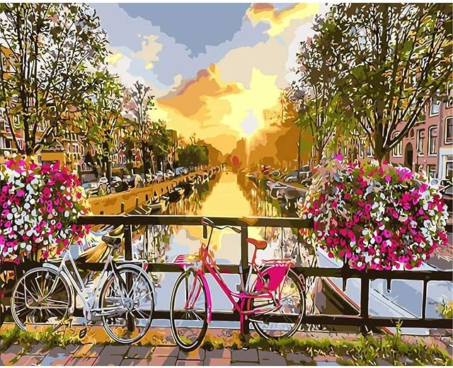 Paint by Numbers,Paint by Numbers Bicycle for Adults Kids Beginners 40*50 cm Sunset Paint by Numbers Kits for Adults Home Wall Decoration Without Frame - Flower Bike