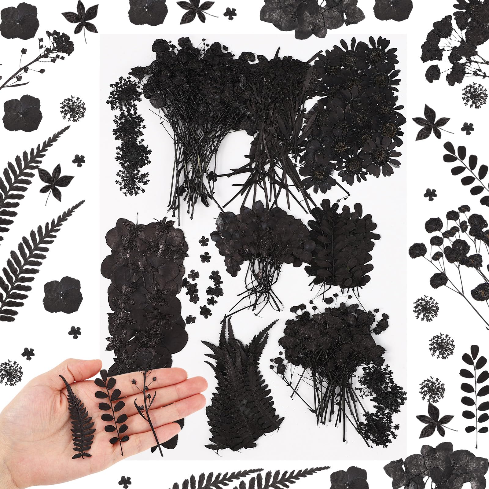 Fabbay 200 Pcs Dried Pressed Flowers Real Dry Natural Flower Leaf Dried Flowers for Resin Pressed Flower Kit for Plant Herbarium Scrapbooking DIY