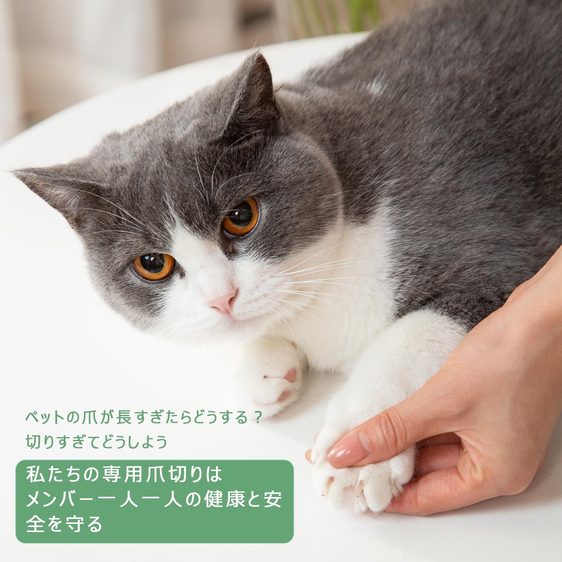 Amazon.co.jp: EDlikeペット 爪切り 猫爪切り 犬 爪切り 猫 爪切り深い