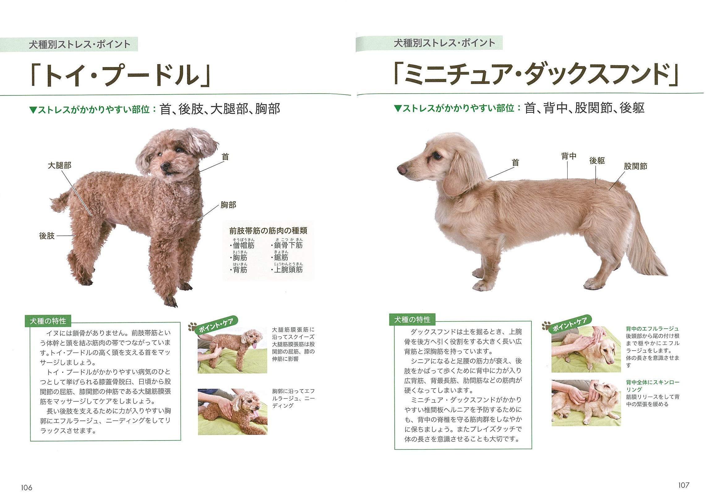 ドッグマッサージ 実践テクニックbook この一冊で基本から応用まで コツがわかる本 山田 りこ 本 通販 Amazon ドッグマッサージ 実践テクニックbook この一冊で基本から応用まで コツがわかる本 山田 りこ 本 通販 Amazon
