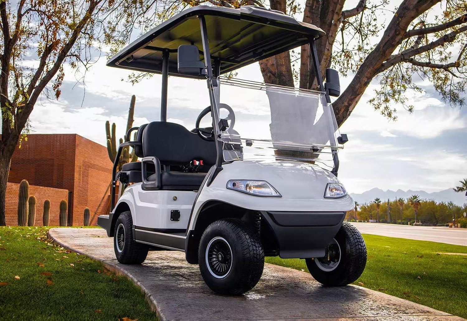 Golf Cart Wheel Covers Hub Caps for EZGO/Club Car/Yamaha/Star Car/Excar/Icon, 8 Inch Snap-on Installation, Set of 4, ABS Material, Matte Black, 18 Spoke Design