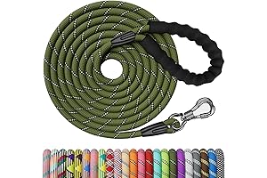 Phydeaux Dog Leash: Unleash Your Dog's Adventures