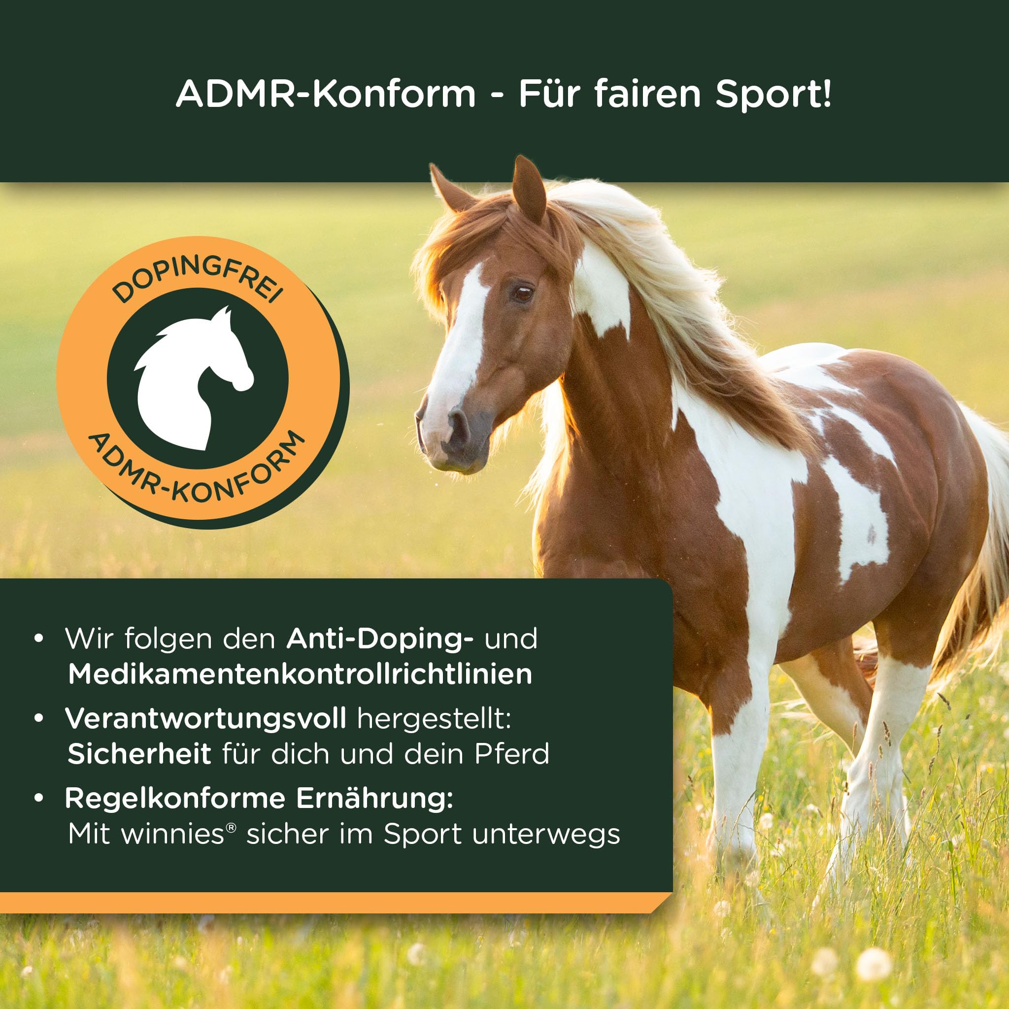 winnies® Trojaner Tabletten-Versteck für Pferde – gebackener Leinsamen-Fenchel-Stick mit Tablettenkammer – stressfrei – getreidefreies Ergänzungsmittel – ideal bei PPID/Cushing – 500 g