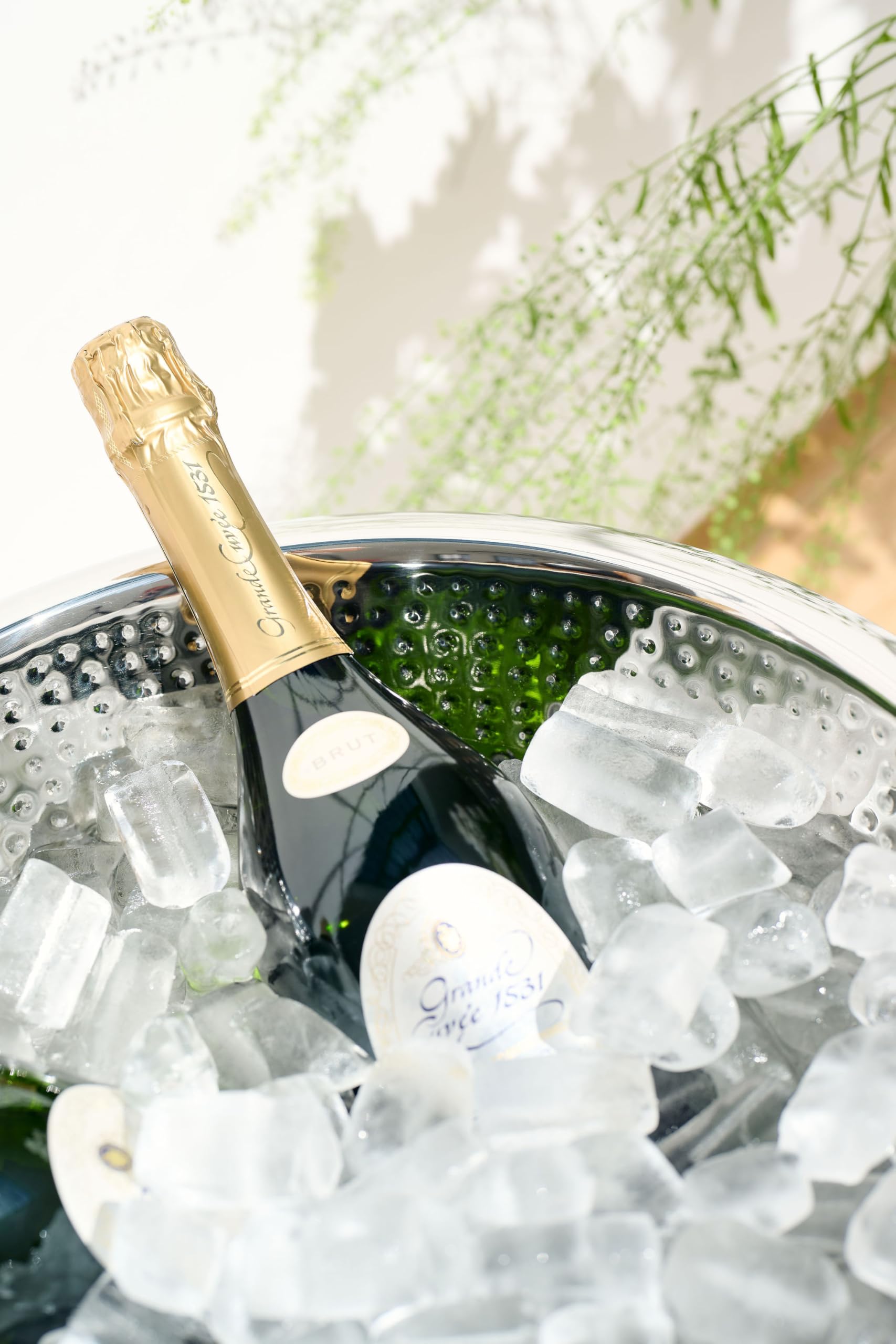 EDZARD Seau à champagne Cadiz, martelé à l'intérieur, 10,5 litres, diamètre 43 cm, à double paroi pour de meilleures performances isolantes, refroidisseur de bouteilles, refroidisseur de vin