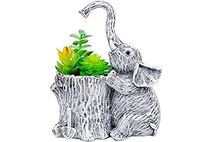 Elephant Pots for Plants: The Ultimate Plant Haven