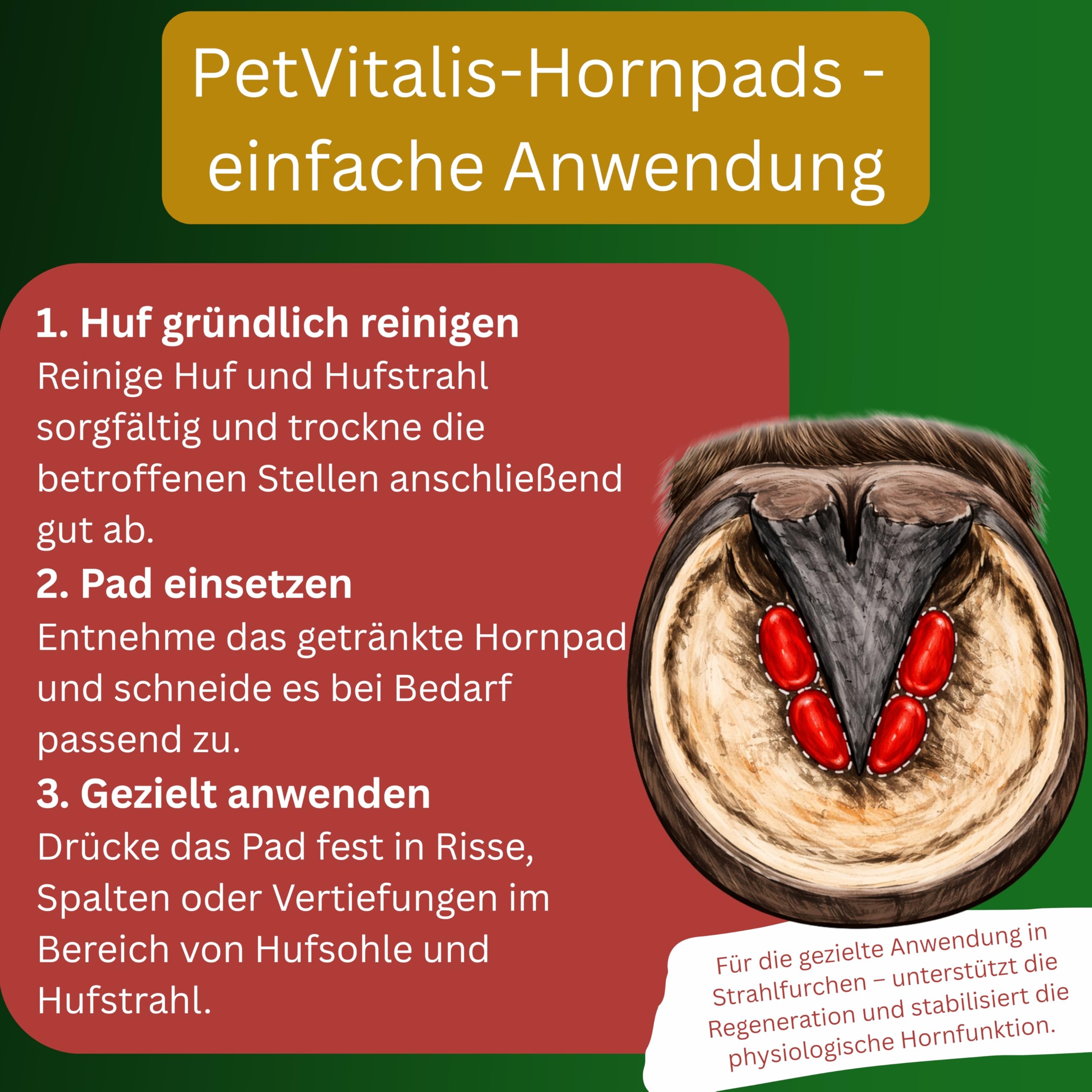 Hornpads Elite – Horn-Pads / Hufpflege Pads für Pferde – Premium Hufpflege bei Strahlfäule / Huffäule, Rissen & Spalten – Hufpads zur gezielten Anwendung im Strahl- und Hufbereich (Hufstrahl) (10)