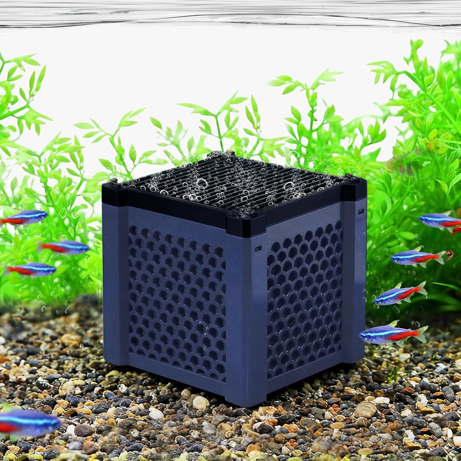 Pure Cube Water Trough Filter 2.0 Super‑Strong Filtration Aquarium Water Trough Activated Carbon Purifier Cube for Horse, Livestock, Fish Tanks & Ponds,Blue,for 20 Gallons Tank