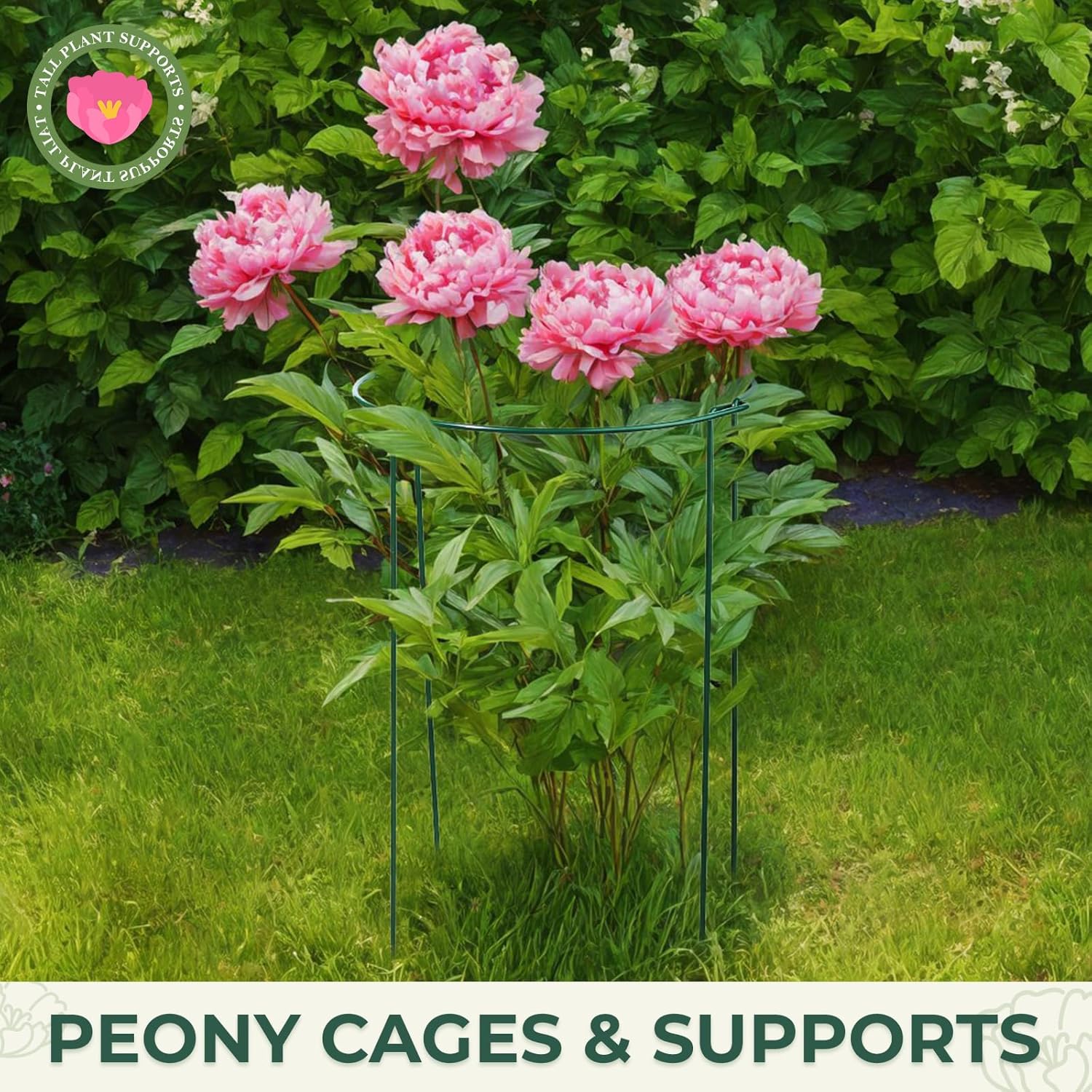 LEOBRO Plant Support, 8 PCS Peony Cages and Supports, Metal Plant Stakes, Plant Supports for Indoor Plants, Outdoor Plants, Monstera Hydrangea Support Cage, 10" W x 24" H