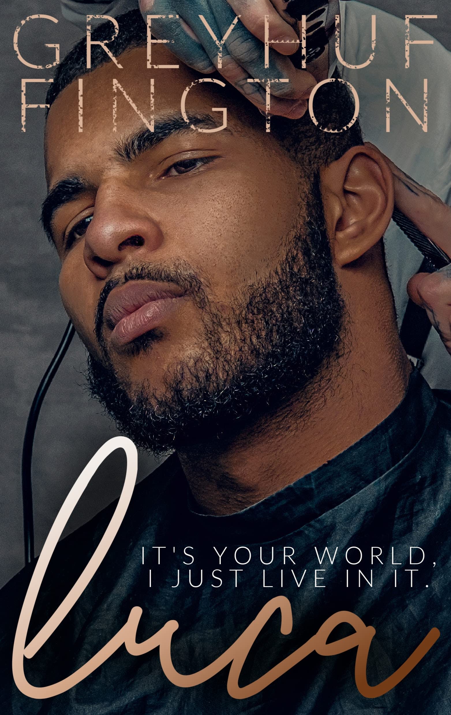 Luca (The Eisenberg Effect Book 1)