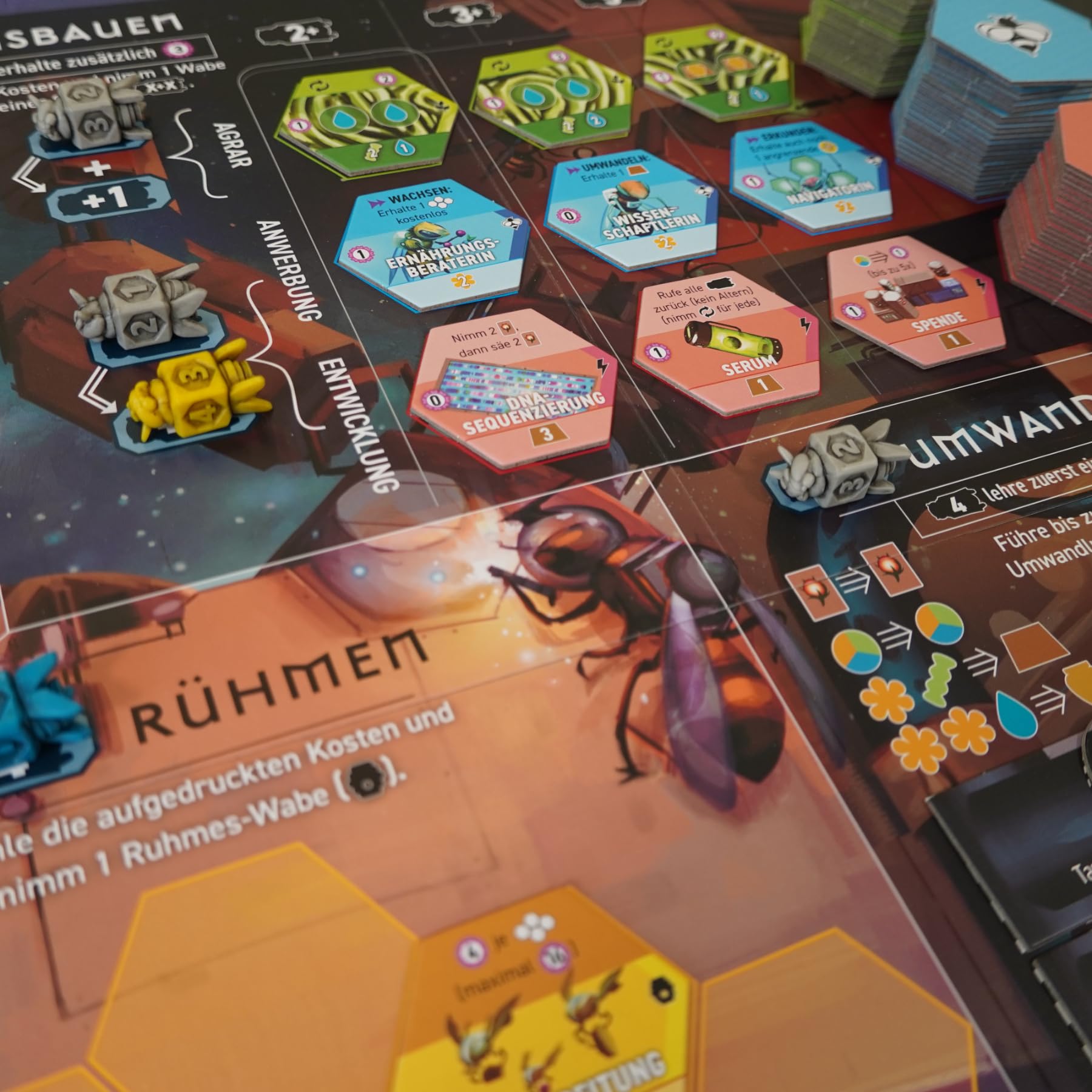 Feuerland: Astrobienen | Kennerspiel für 1-5 Personen ab 14 Jahre | Gesellschaftsspiel, Aufbauspiel, Worker Placement mit mehreren Twists, Engine Builder, Bienen im Weltraum