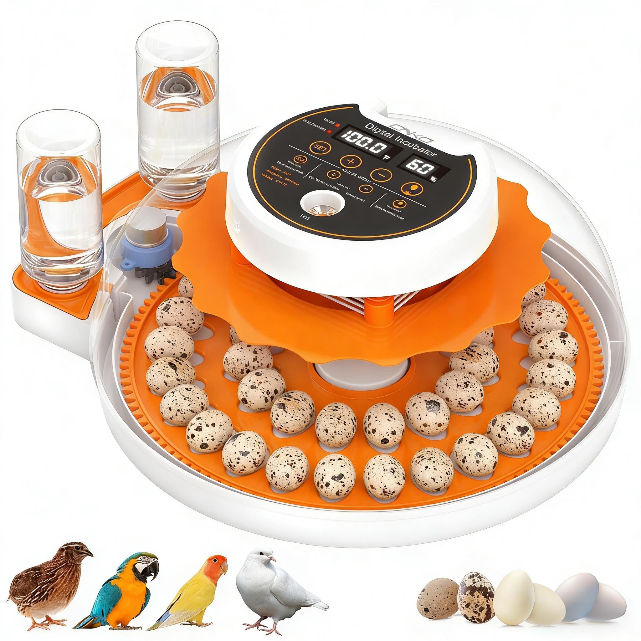 Incubadora de huevos de codorniz con volteador automático y control de humedad, incubadora de aves capaz de incubar 40 huevos de codorniz, incubadoras de huevos de aves de corral con un dispositivo de