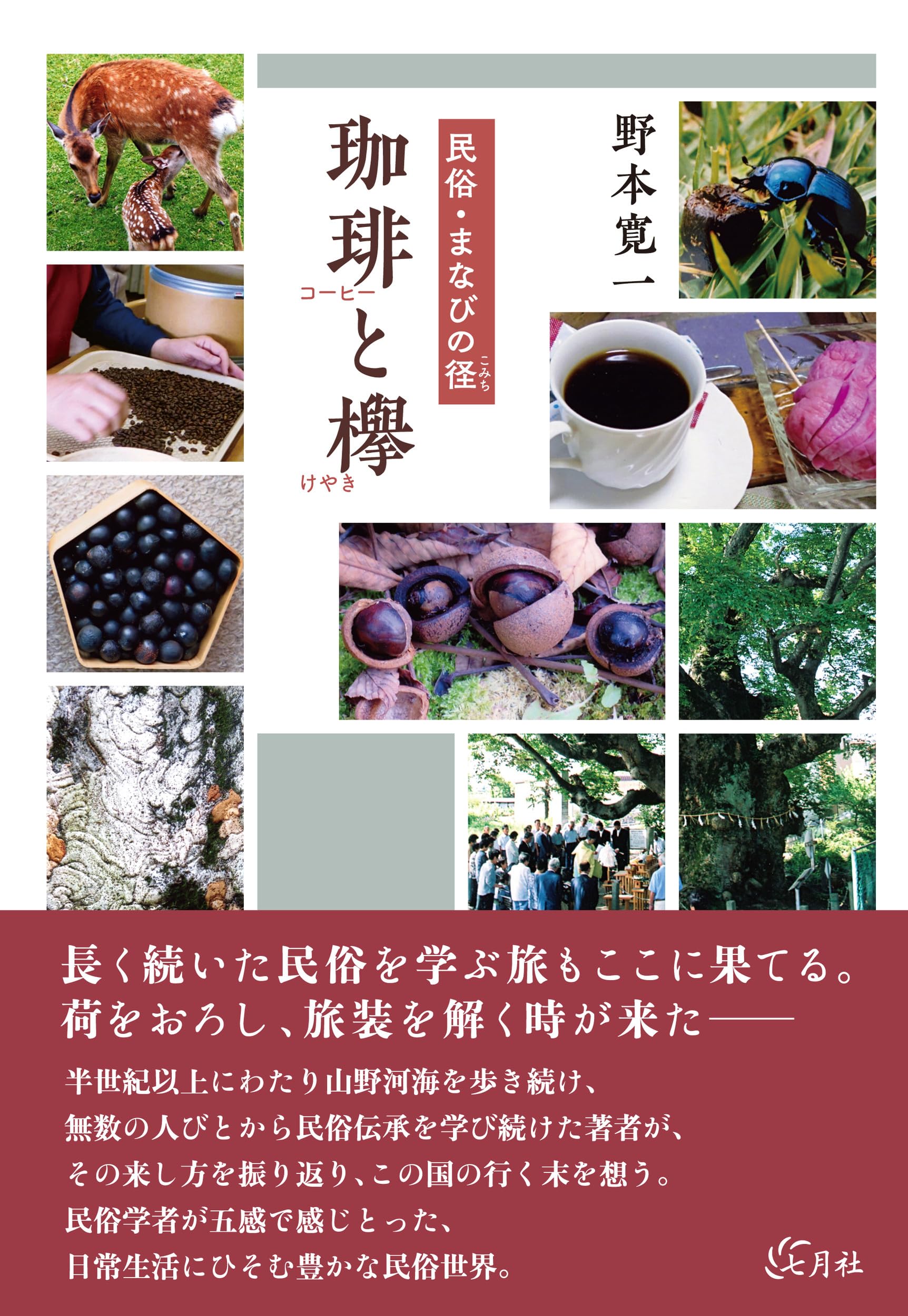 民俗・まなびの径 珈琲と欅 | 野本 寛一 |本 | 通販 | Amazon