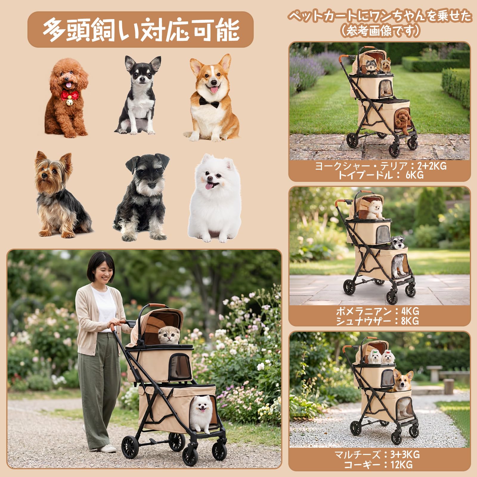 Amazon.co.jp: MILA&LOUIS: 中型犬