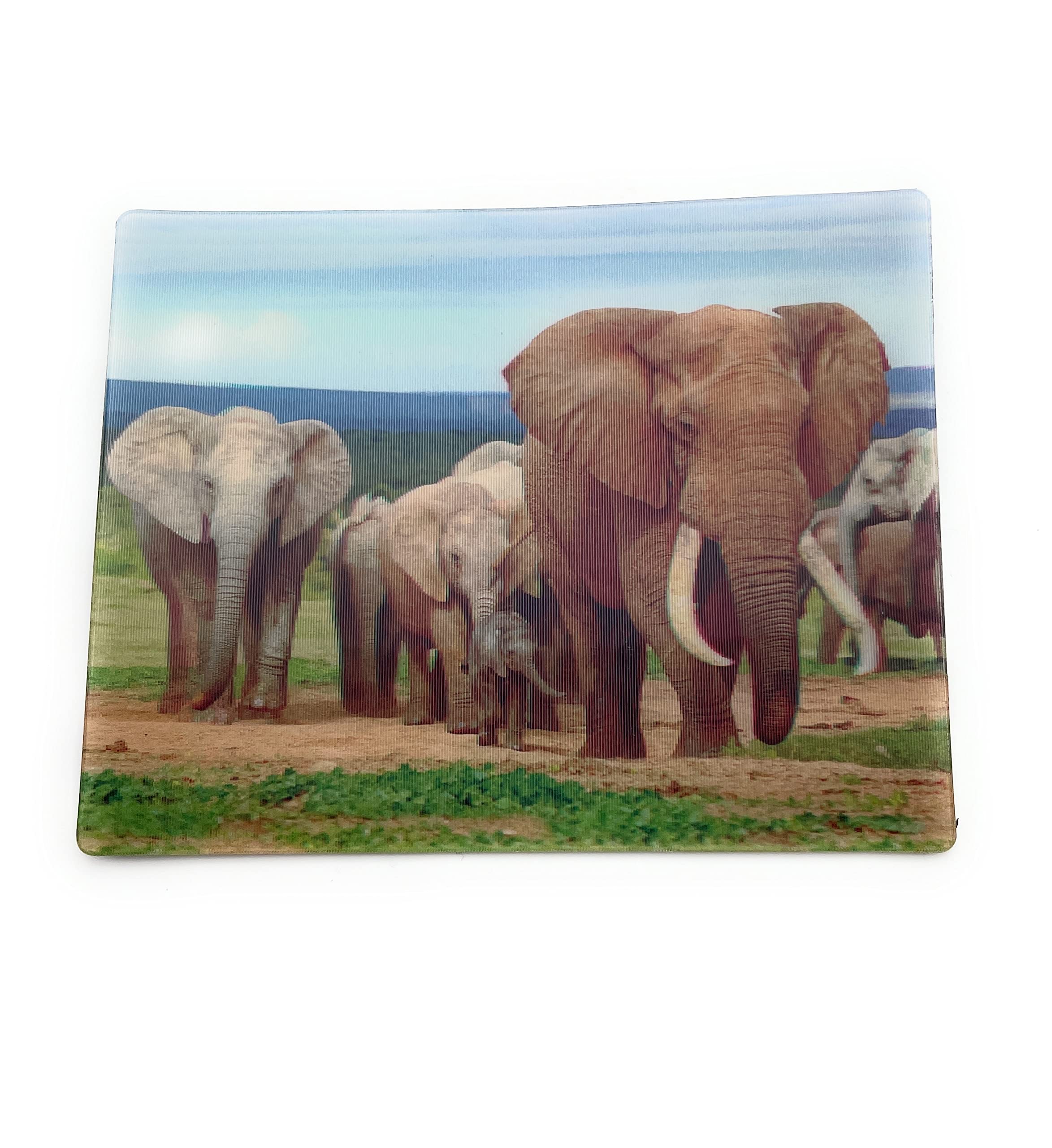 Onwomania Elephant Family Pachyderm 3D Magnetic Card Fridge Magnet Picture Staple Magnet Grey 9 x 7 cm