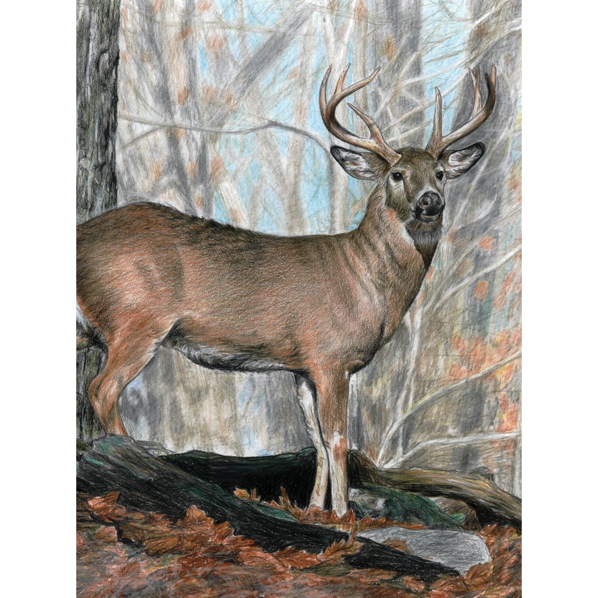 Royal Brush Color Pencil by Number Kit, 8.75 by 11.75-Inch, Whitetail Buck