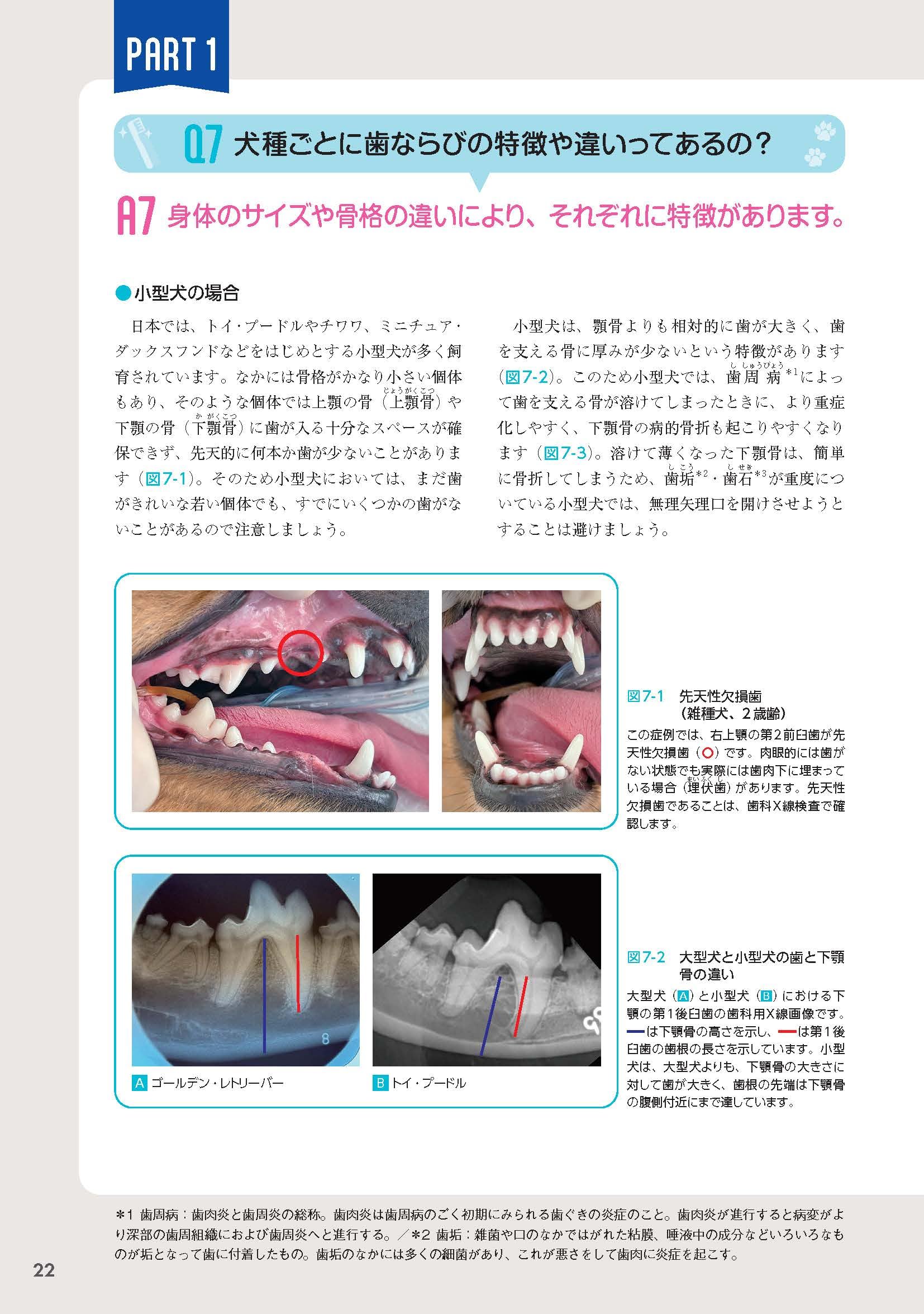Amazon.co.jp: EDUWARD Press編集部: 本、バイオグラフィー、最新