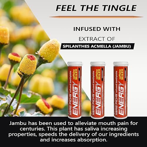 Miniatura 4 de Xero Picks Palillos de dientes con sabor energético con cafeína, púas B12 y B6-60 (paquete de 3 unidades, canela)