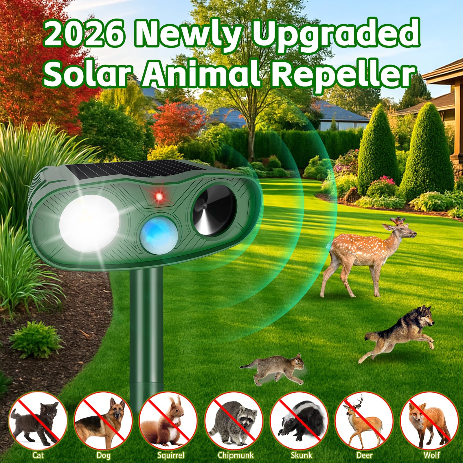 https://m.media-amazon.com/images/I/81co0ibl1dL.jpg