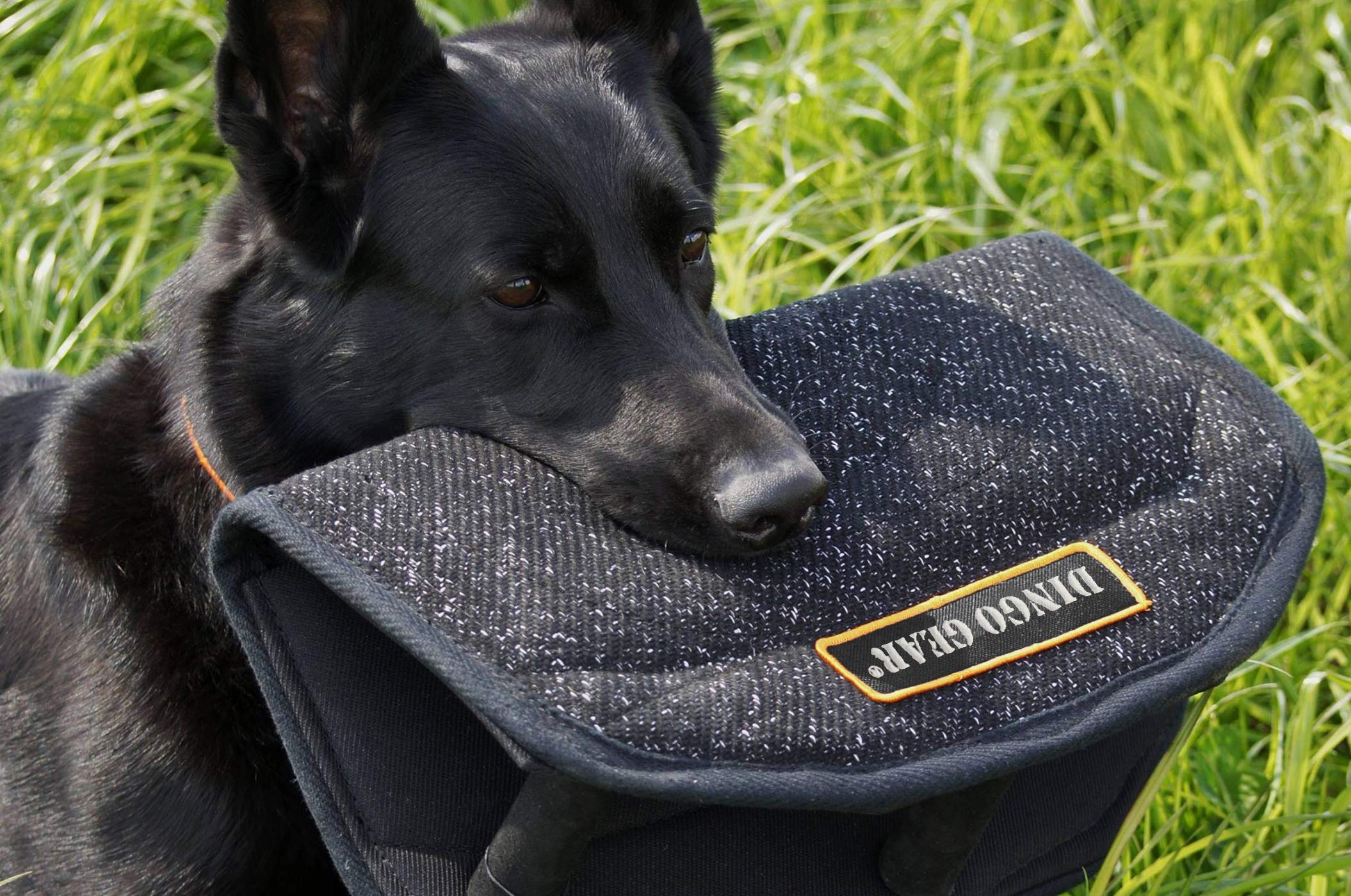 Dingo Gear Coin de Morsure Gizmo pour, IGP, Sports Canins, Travail au Mordant, Entraînement des Forces Spéciales, Manche Universel avec 3 Poignées, Fait Main, Matériau Nylcot Noir (S00518)