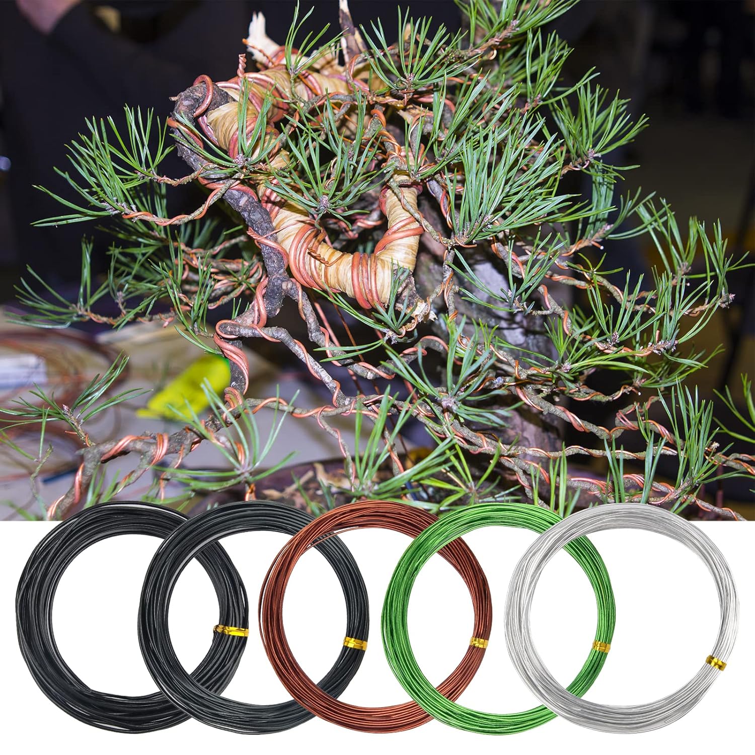 Buy Zhaoyao Bonsai Training Wire Kit 164Ft Anodized Aluminum Tree Wire