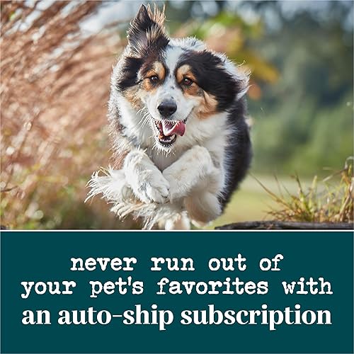 Miniatura 11 de Purina - Suplementos masticables suaves para perros, multibeneficio, recipiente de 10.6 onzas