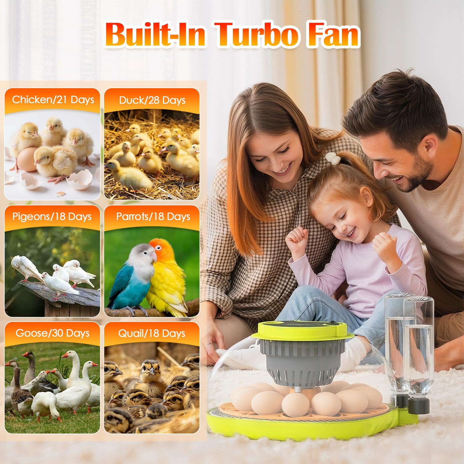 Incubatrice per Uova Automatica, 12 Uova, con Aggiunta Automatica Dell'Acqua, Girauova Automatico, Controllo Temperatura e Umidità, Funzione Speratura , Visuale a 360°, per Galline, Quaglie, Anatre(B)