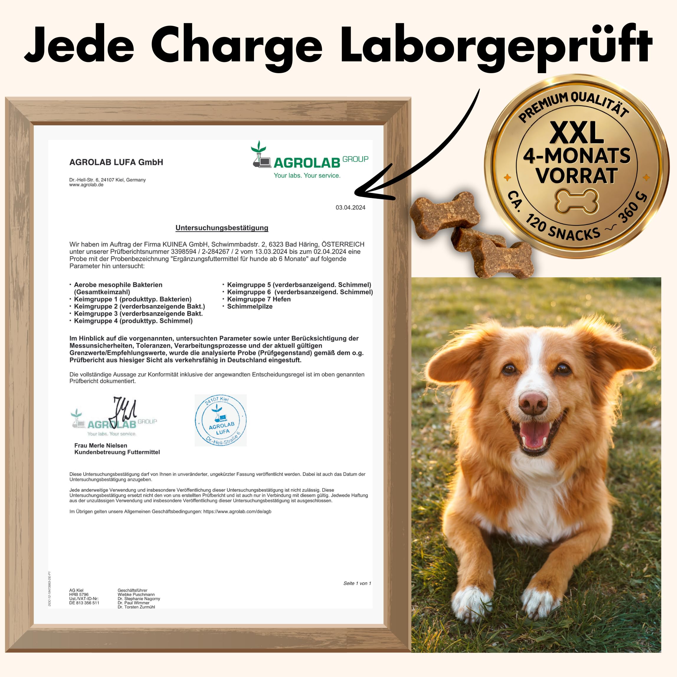 KUINEA® 3X Multivitamin Snack für Hunde – All in One Vitamine als Leckerli – 3X 120 Snacks (1080g) – Ergänzungsfuttermittel mit Vitaminen & Mineralstoffen – ab 6 Monaten (3er Pack)