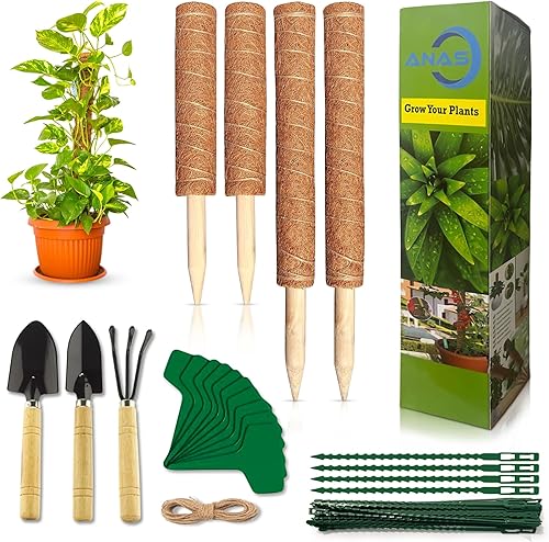 Paquete de 4 postes de musgo para plantas trepadoras, kit completo con 2 estacas extensibles de 17 y 14 pulgadas, 3 herramientas de jardín, 10