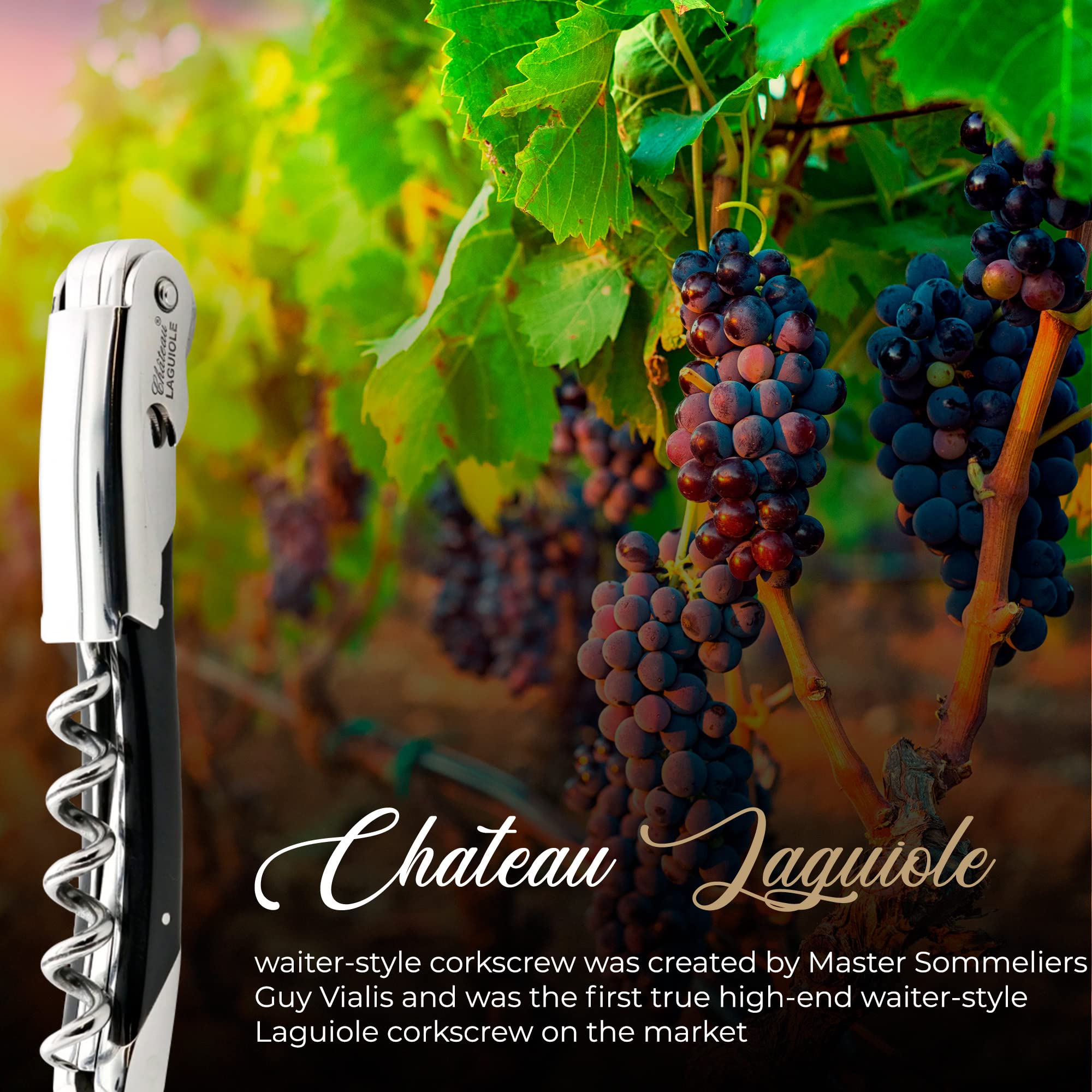 Chateau Laguiole Korkenzieher, französischer Luxus-Weinöffner, Grand Cru schwarzer Horngriff mit Lederscheide und Geschenkbox