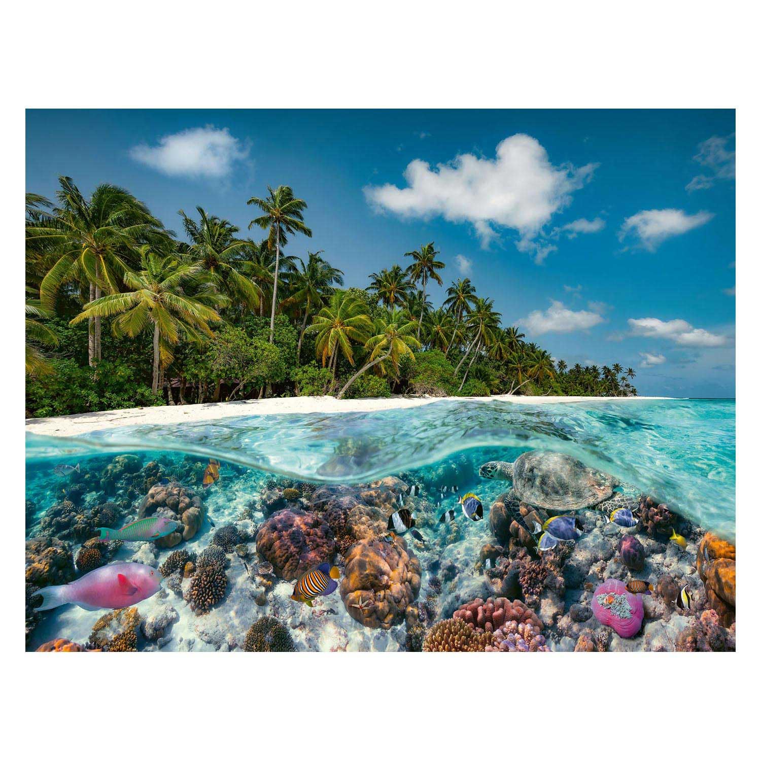 Ravensburger Puzzle 17081 - Hamnoy & Puzzle 17441 EIN Tauchgang auf den Malediven - 2000 Teile Puzzle für Erwachsene und Kinder ab 14 Jahren