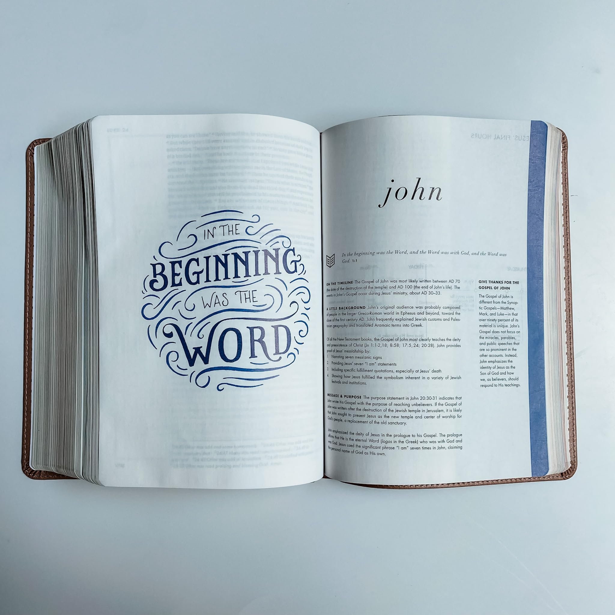 Personalized CSB She Reads Truth Bible, Rose Gold Color, Option to Customize with Hand Lettered Name, 9781535970990 - Image 7