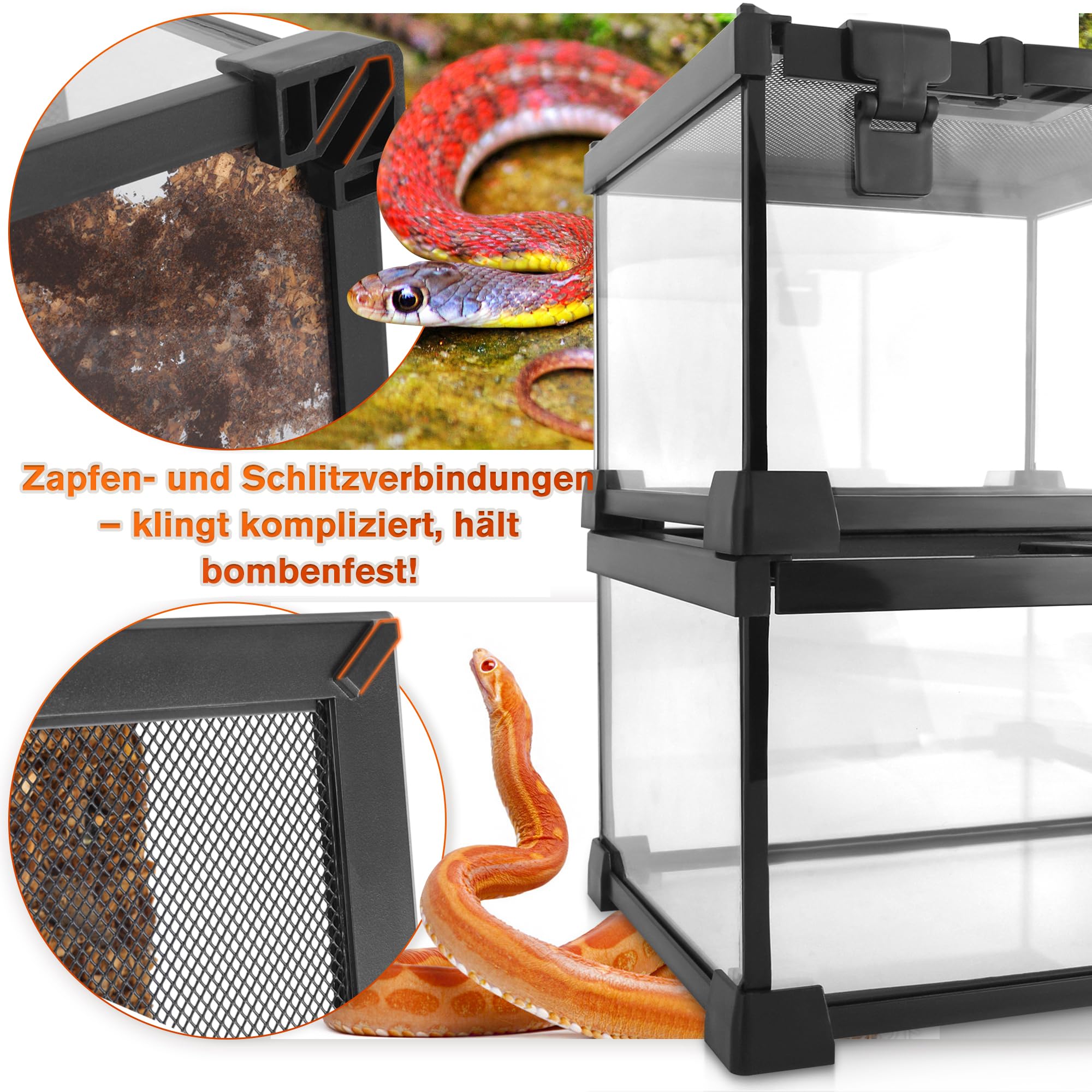 Mini-Reptilien-Glas-Terrarium, 30 x 20 x 14.5 cm, Vollsicht-Tank, kleine Amphibien, Glas-Lebensraum, Käfig mit Futterschlitz und Kastenschloss
