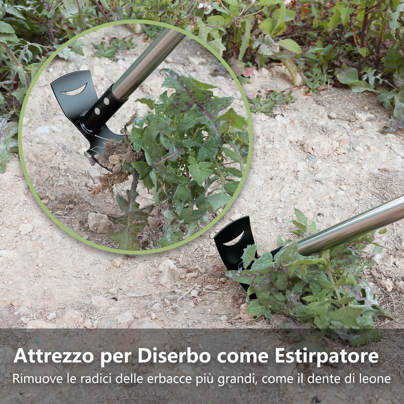 Mitclear Attrezzo per Rimuovere delle Erbacce con Manico Lungo(148cm), Rastrello per Diserbo e Zappa da Giardinaggio, Attrezzi da Giardino per Scavo del Terreno, Rimuove Erbacce, Cura del Prato