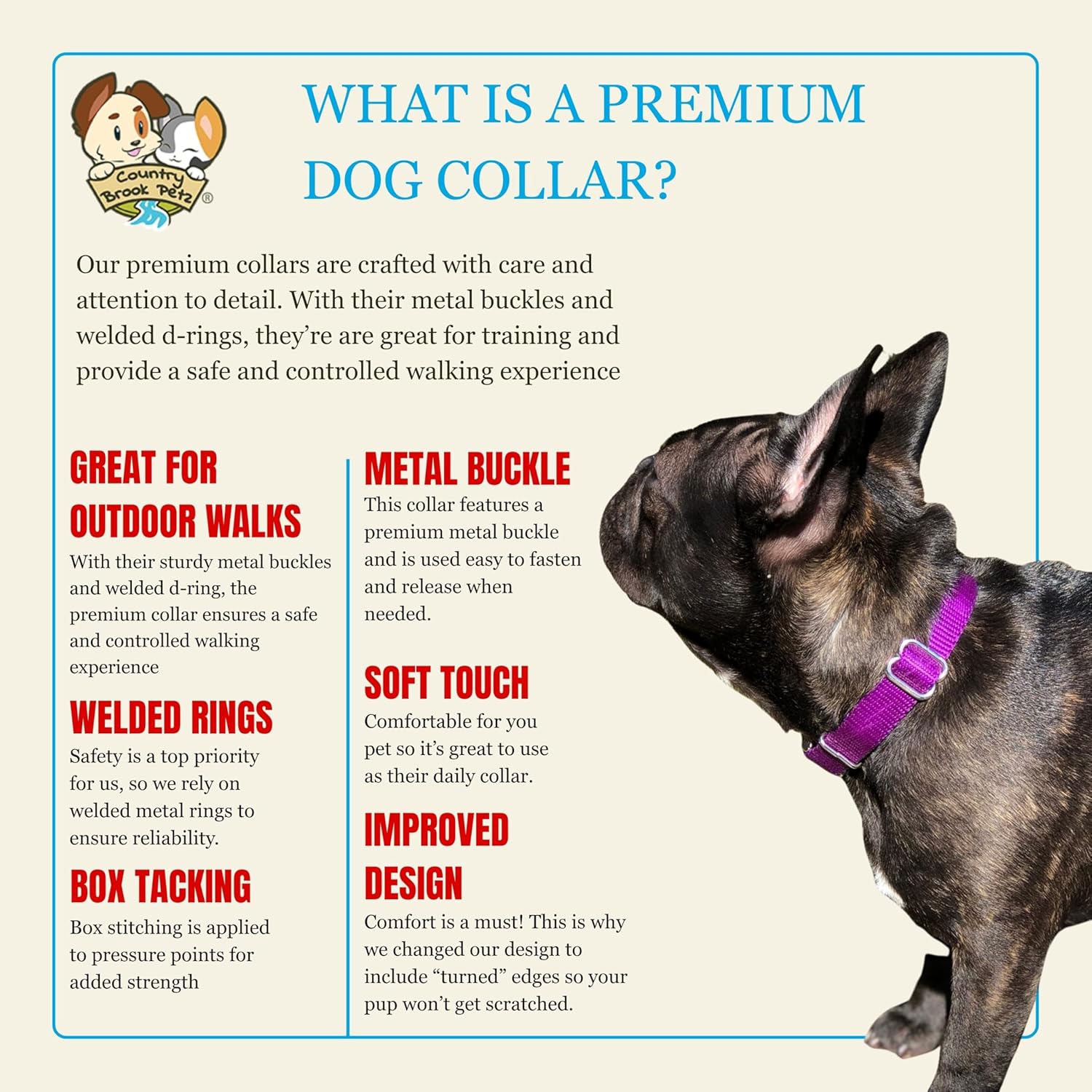 Country Brook Petz - Premium Nylon Dog Collar with Metal Buckle for Small Medium Large Breeds - 10+ Cool Colors (Medium, 3/4 Inch, Purple)