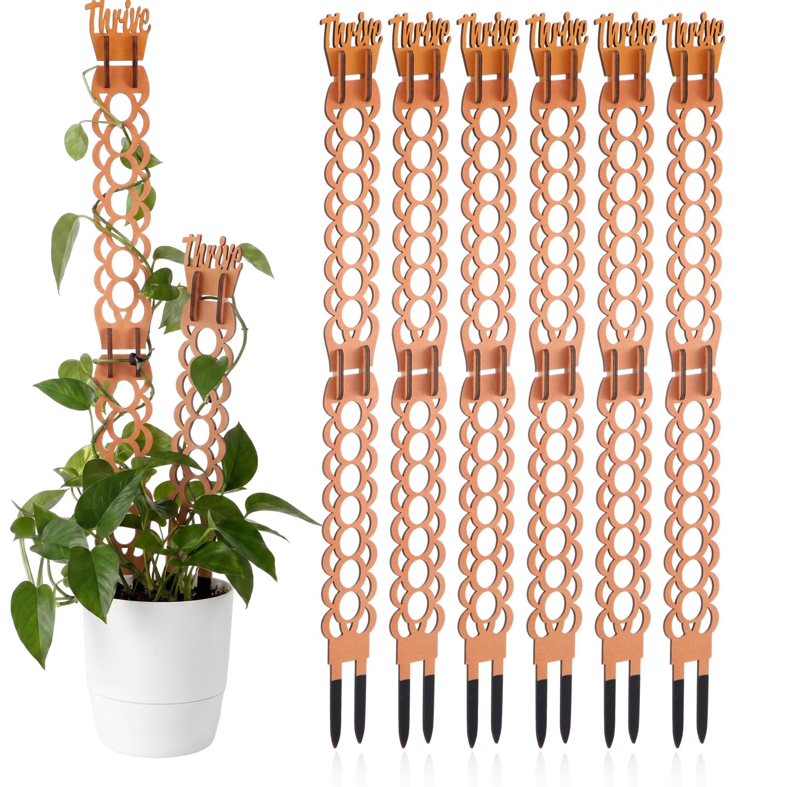 Otoolling 6 Sets Wooden Extendable Plants Trellis Indoor Modular Plant Trellis with Wood Thrive Sign Decor and Extensions for Outdoor Climbing Houseplants Vine Flower Stem (Ring) — image 1