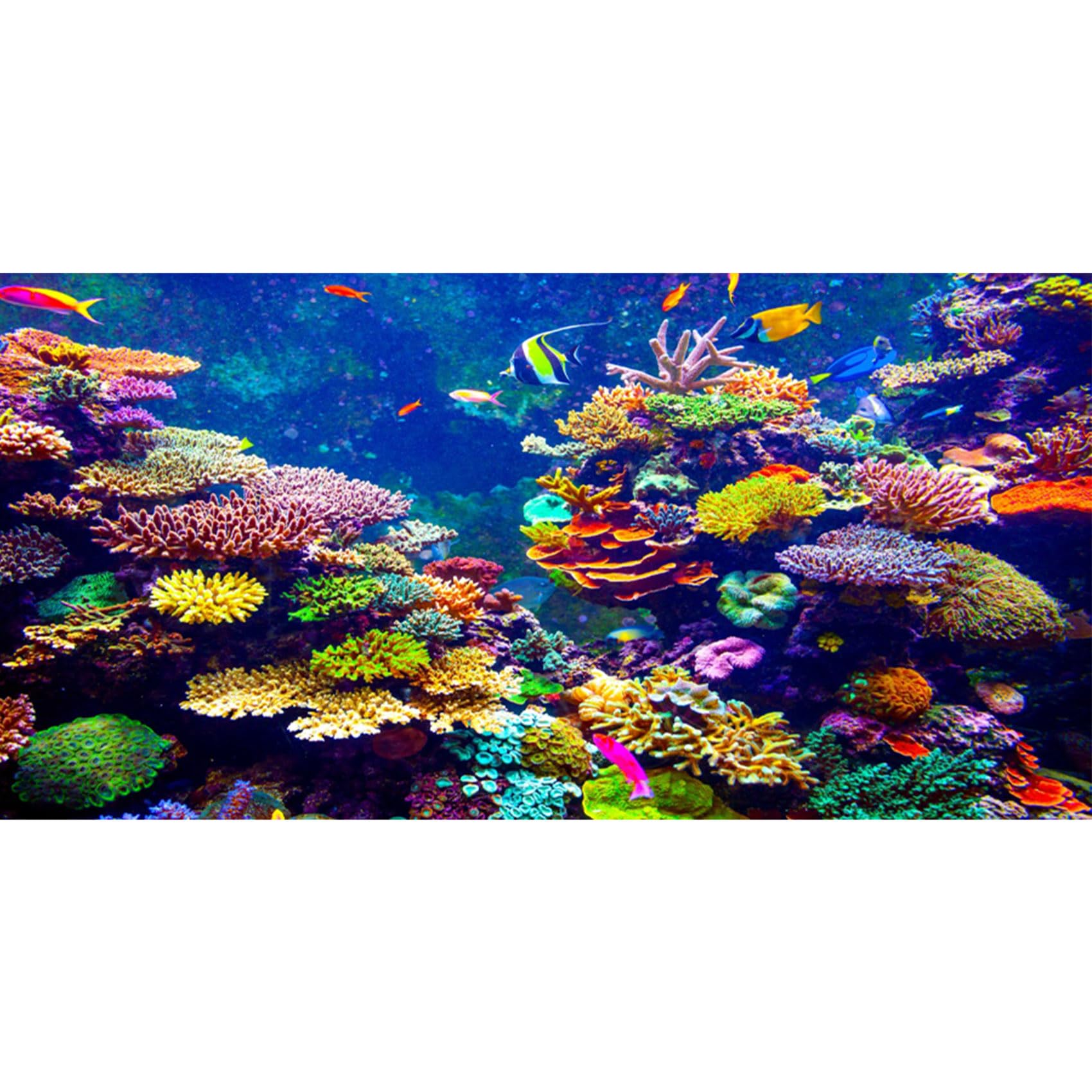 MIRRORANG 91x50cm Aquarium Background Coral Tropical Fishes Underwater World Fish Tank Background Durable Vinyl Background