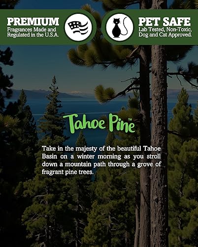 Miniatura 5 de Tahoe Pine - Velas de té de alta calidad, altamente perfumadas con aceites esenciales y naturales, 6 velas de té verde, hermosa luz de velas,