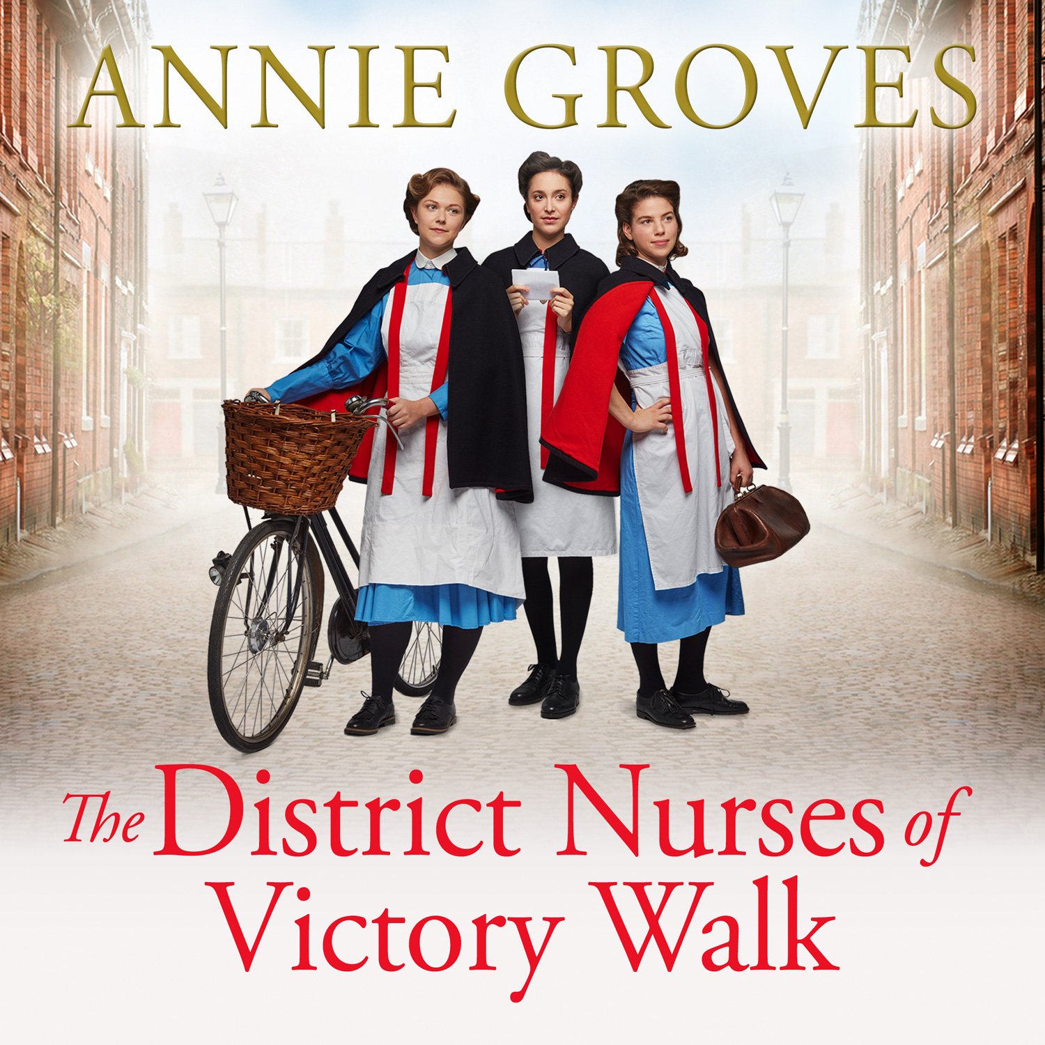 Cover art for The District Nurses of Victory Walk