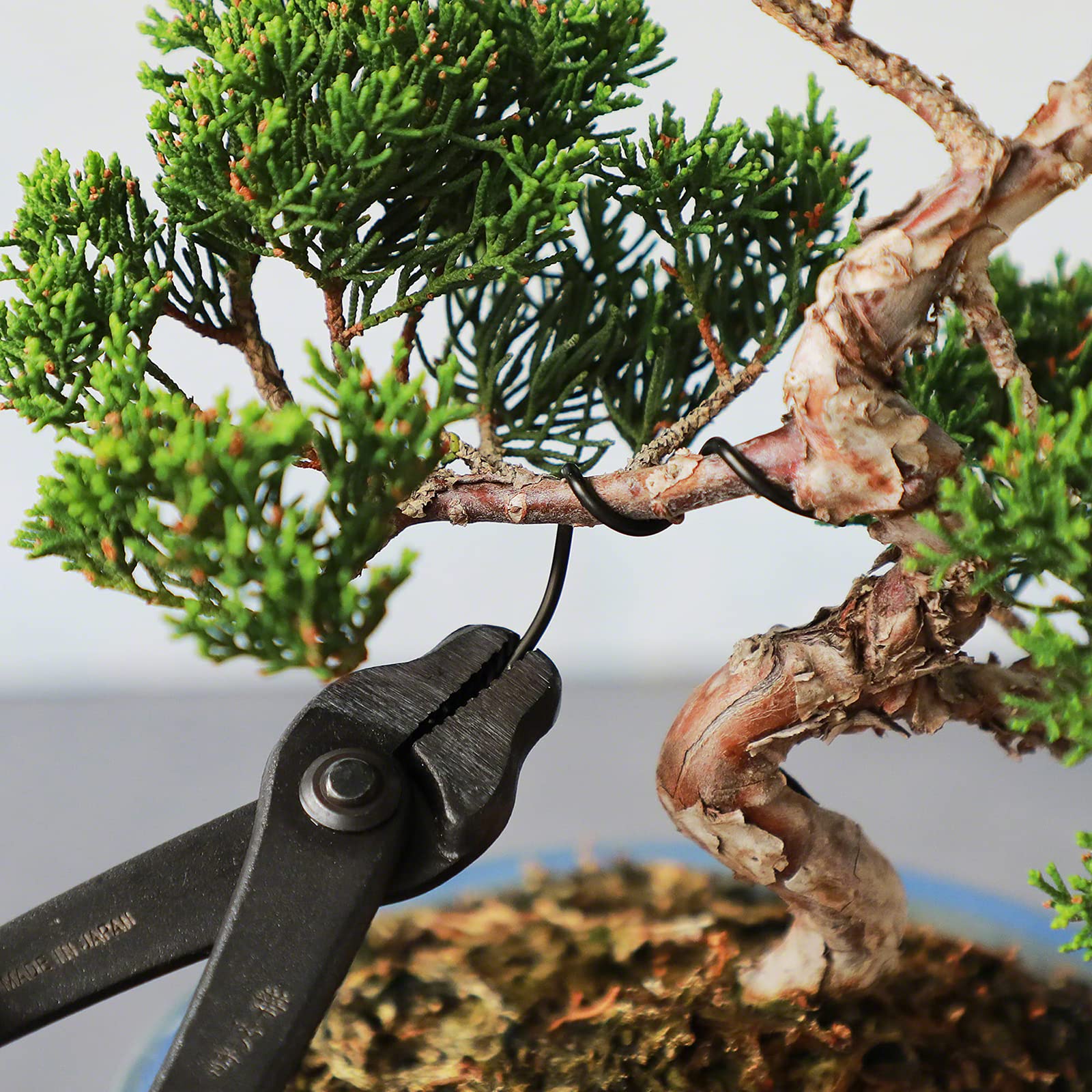 Wazakura Alambre para Entrenamiento Bonsai en Aluminio 6mm 150g Hecho en Japón, Alambre Japonés para Bonsai para la Modelación de Ramas y Troncos - Negro(6.0mm)