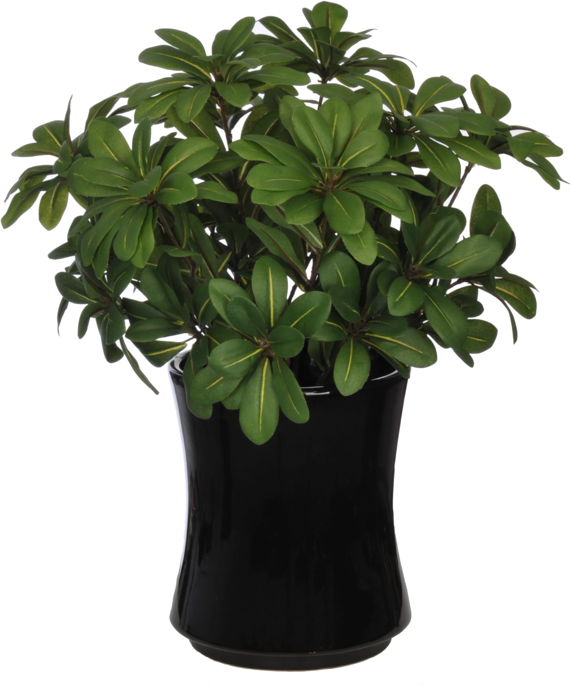 House of Silk Flowers Artificial Mini Green Pittosporem in Black Hourglass Ceramic