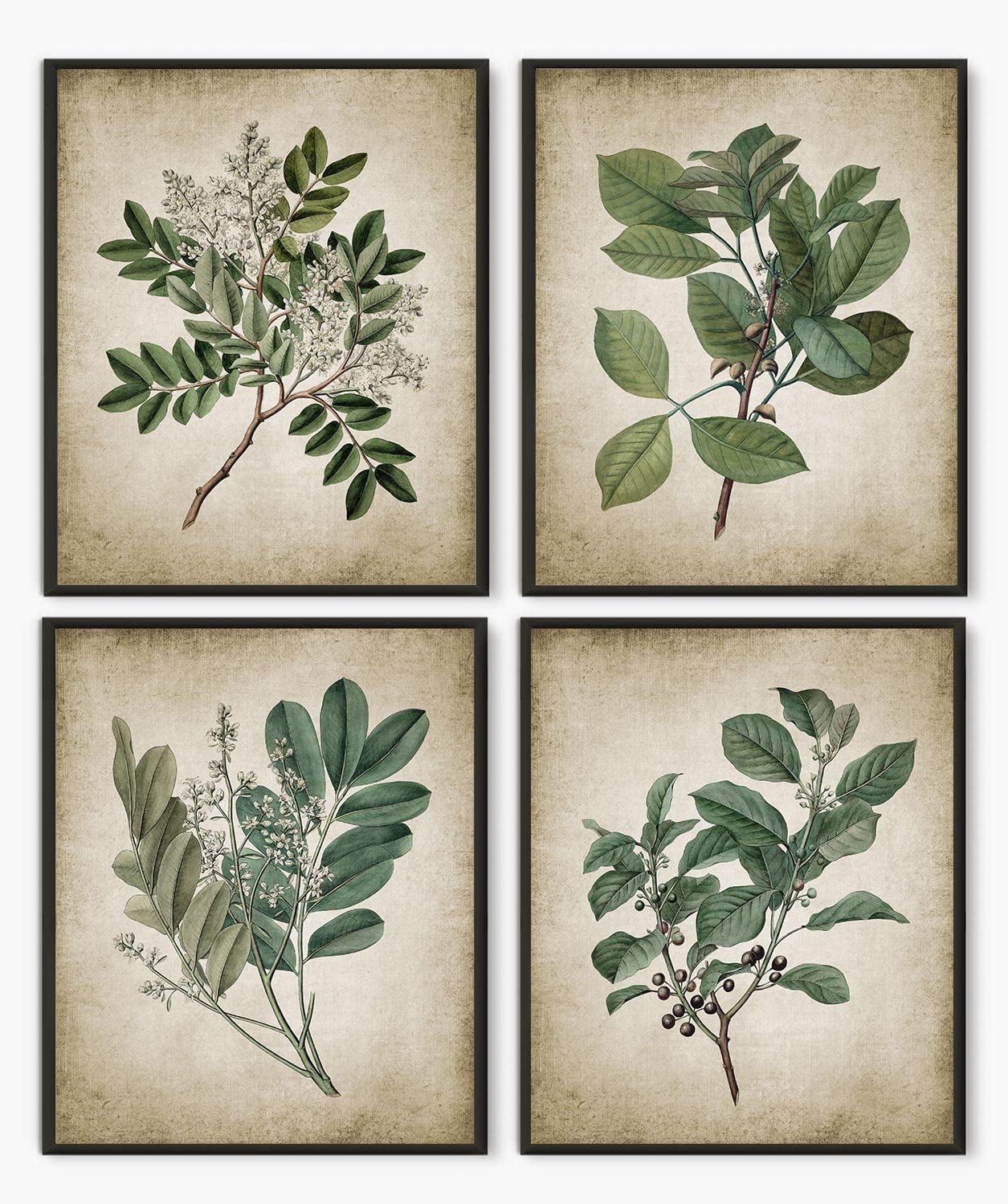 Vintage Botanical Wall Art Prints Set of 4, Neutral Botanical Plant ...